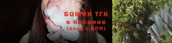 ECSTASY Кукмор