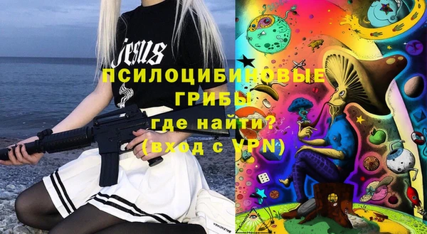 ECSTASY Кукмор