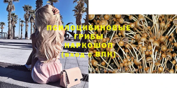 винт Куйбышев