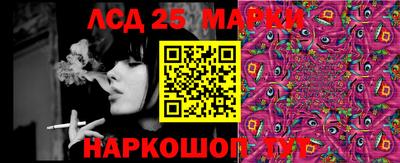 дмт Донской
