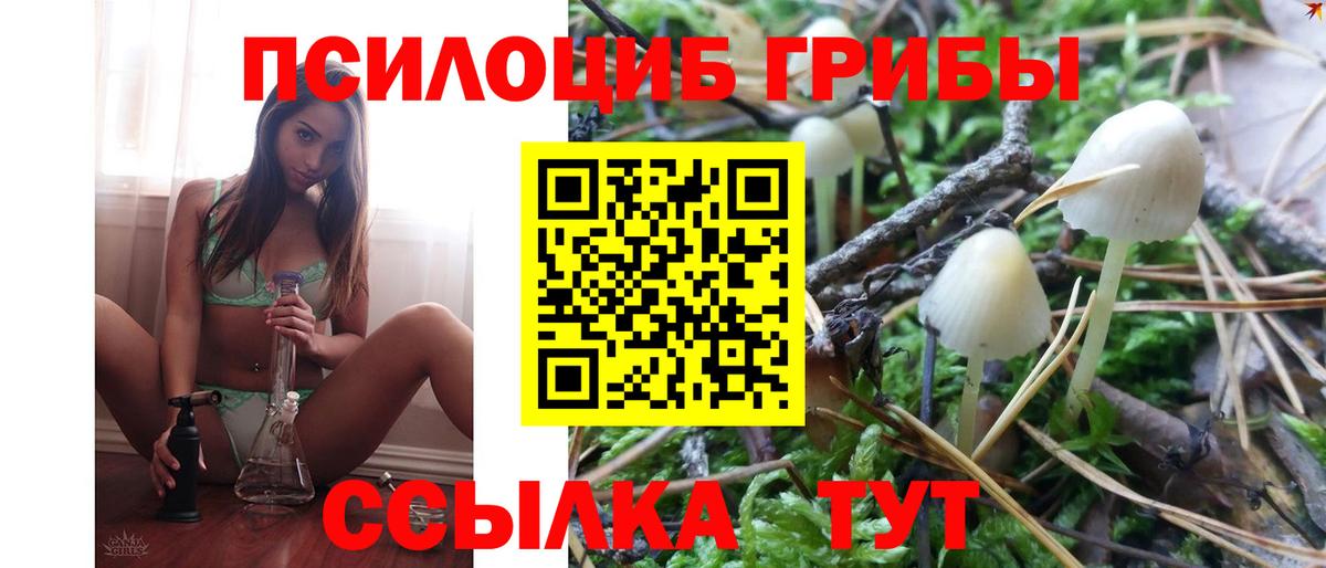 Псилоцибиновые грибы мухоморы Назарово